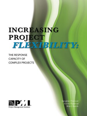 cover image of Increasing Project Flexibility